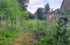 Proprietate cu farmec rural în Beclean, aproape de Făgăraș - Beclean - 3