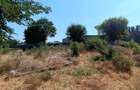 Teren intravilan 501 mp, deschidere 16 m, Calarasi IV - 1