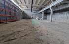 Hala industriala de inchiriat, 600 mp, Codlea, Brasov - 3