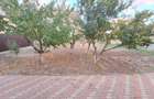 Casa P+1+M, 6 camere, garaj, beci, Nicolae Balcescu - 42