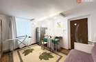 Apartament cu 2 camere de vanzare in Timisoara, zona Ronat - 13
