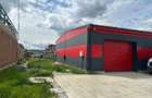 De închiriat hală 300 mp Lețcani, Iași – vis-à-vis de Sandra Auto | Acces TIR - 10