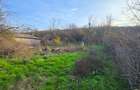 Vanzare Teren Bulbucata Girgiu - 3