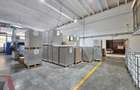 Hale Industriale 5065 mp de vanzare Str. Bradului - Bacau - 4