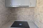 Inchiriere apartament  2 camere zona ultracentrala - 5