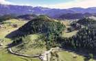 Teren 17590 mp în Fundata, lângă Cheile Grădiștei, Brașov! - 6