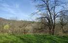 TEREN + CASA DE VANZARE  PRAHOVA| PROVITA DE SUS | BREAZA - 8