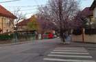 Resedinta deosebita,constr 2012,parc Carol 10min,7 camere,7 bai,2 locuri parcare - 24