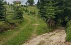 Cabană montană cu panoramă Bucegi & Piatra Craiului – Fundata - 12