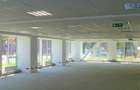 Spatiu comercial / 400 mp / parter / elegant / cladire noua - 2