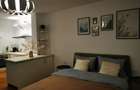 apartament 1 camera Bulevardul Take Ionescu / Medicina ! - 14