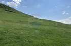 Teren 1,000mp Garcina / Strada Punct Marian - 1