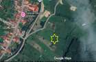 Vindem urgent 1035mp teren intravilan in Rau Sadului ,  SIBIU - 28