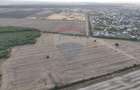 Teren investitie, intravilan Tamasi / Buftea - 4