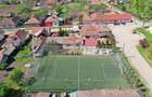 PROPRIETATE CU AFACERE FUNCTIONALA DE VANZARE - PETREU, LANGA MARGHITA - 5