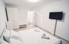 Apartament cu 2 camere, 50mp utili, pet friendly, etaj 1/4, Terezian - 2