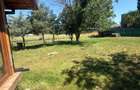 De vanzare proprietate Podari – 2 hale industriale + casa și spatiu recreativ - 17