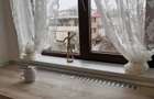 Inchiriere Apartament 2 camere-Zona C-tin Brancoveanu - 3