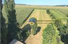 CASĂ + teren 4500 mp DRAGOMIREȘTI, judetul Neamț - 3