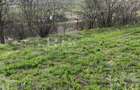 Teren in suprafata de 6300 mp extravilan in Garbau - 7