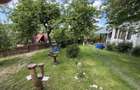 2 Case + teren 1390 mp langa parcul central Provita de Sus - 48
