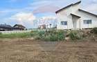 Teren Sanpetru, str Armoniei, 539mp, cu proiect casa si avize in lucru - 4