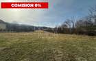 Teren intravilan de vanzare - 1028 mp - Tocile - 1