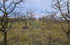 Teren extravilan 10,791mp Falticeni / Strada DJ209A, Opriseni - 14