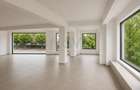 REC3001797 Spartiu comercial birouri Iancu Nicolae stradal bloc nou - 3