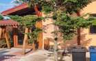 DE VANZARE CASA 10 CAM IN  SAT TEISORI (JUD. GIURGIU) - 1