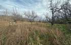 Teren Intravilan 2.800 mp| zona Schit - 1