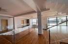 Proprietate premium reprezentativă cu utilizare mixtă, 650 mp si teren 3000 mp - 6
