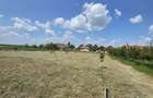 Casă  cu teren de 40 ari în localitatea Gelu - 4