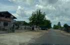 Vanzare Teren  intravilan 8000mp Adunati Copaceni Giurgiu - 16