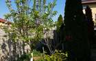 Proprietar închiriez apartament 3 camere - 8
