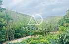 Afacere la cheie – Pensiune turistică în Comuna Runcu - 10