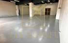 Spatiu Industrial | Pallady - 2