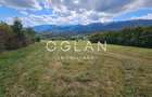 Teren Tocile (parcelabil) 3500 mp  - 14