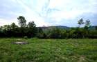 Teren Intravilan, utilitati in zona, 2600 mp, Draganeasa, Prahova - 1