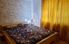 Apartament 3 camere de vanzare, zona Bucovina, Timisoara - 3
