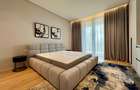 APARTAMENT 2 CAMERE RAHMANINOV RESIDENCE - 8