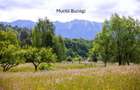 Teren intravilan plat in Bran, 1000 mp, vedere către Bucegi, utilitati - 7