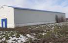 Hala industriala Frumusani - Buciumeni - 5