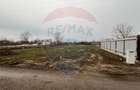 Teren intravilan de vanzare, 1000 mp, Branesti,  lfov - 11