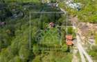 Casa de vacanta de vanza - oportunitate de investitie - zona turistica - 8