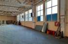 Spatiu Industrial - 700 mp - Depozitare - Distributie - Comert - 6