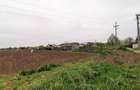 Teren Caracal / Str. Salcamului, 3.585 mp, 7 EUR / mp, comision 0% - 7