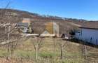 Teren intarvilan de vanzare - Valea Rusului. - 7