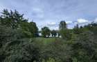 Hotel 20 camere Delta Dunarii 50 m deschidere teren 6000 mp acces auto - 49