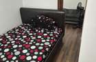 VITAN-APARTAMENT MOBILAT 50 MP-LANGA PARCUL TEILOR - 6